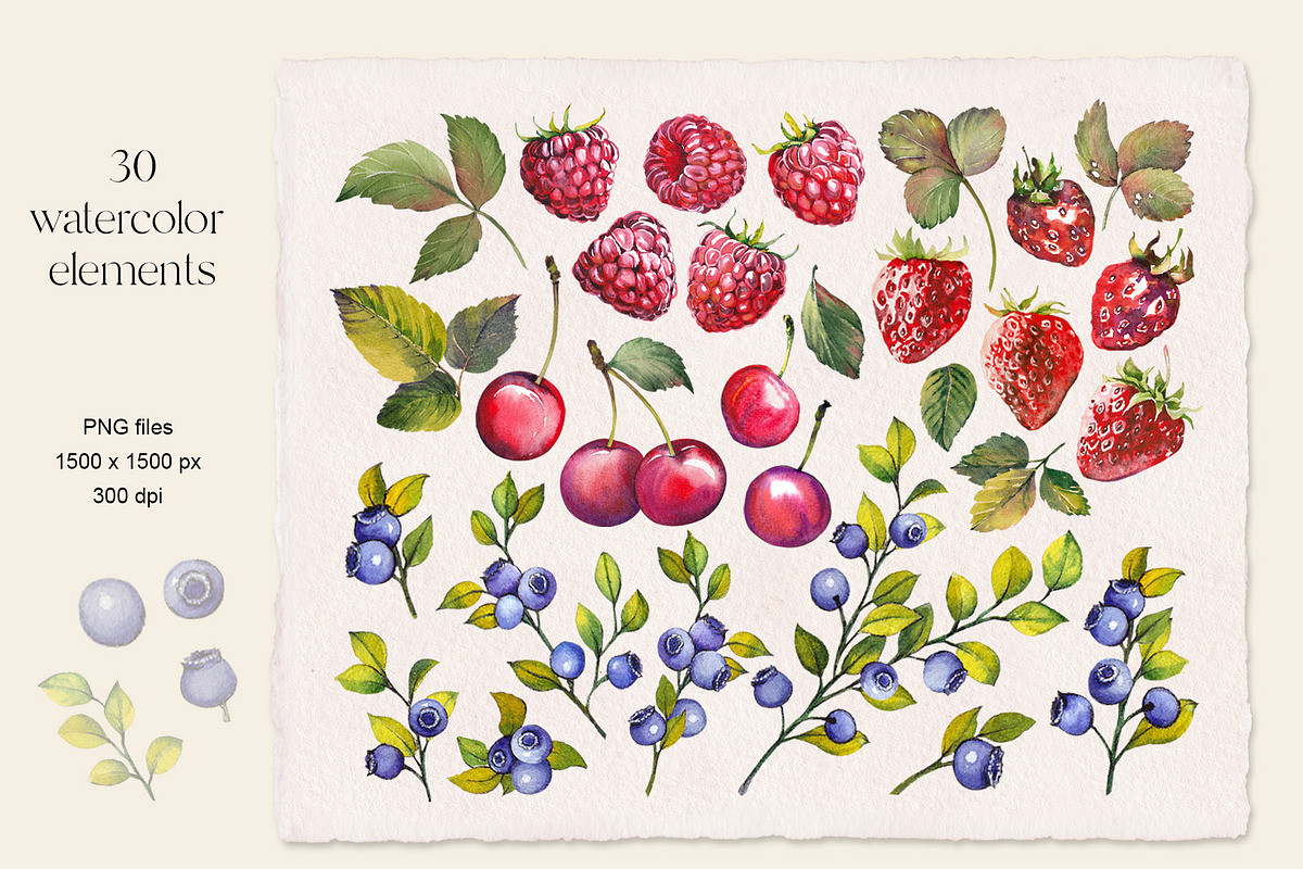 Berries, a Food Illustration by Jeanna Draw (Photo 7 of 12)