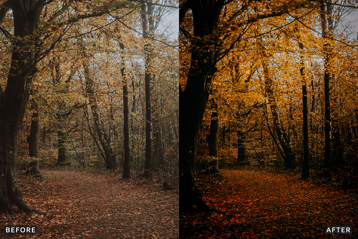 Misty Autumn Forest Presets, a Preset Add-On by AAA Presets (Photo 11 of 13)