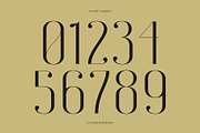 CS Catrine – Modern Sans Serif Font, a Sans Serif Font by Craft Supply Co. (Thumbnail 5 of 8)