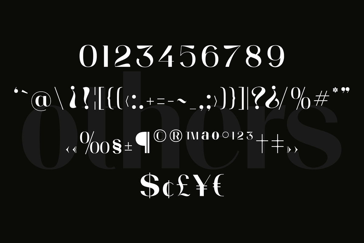 Prague Display, a Font by nurrontype (Photo 13 of 14)
