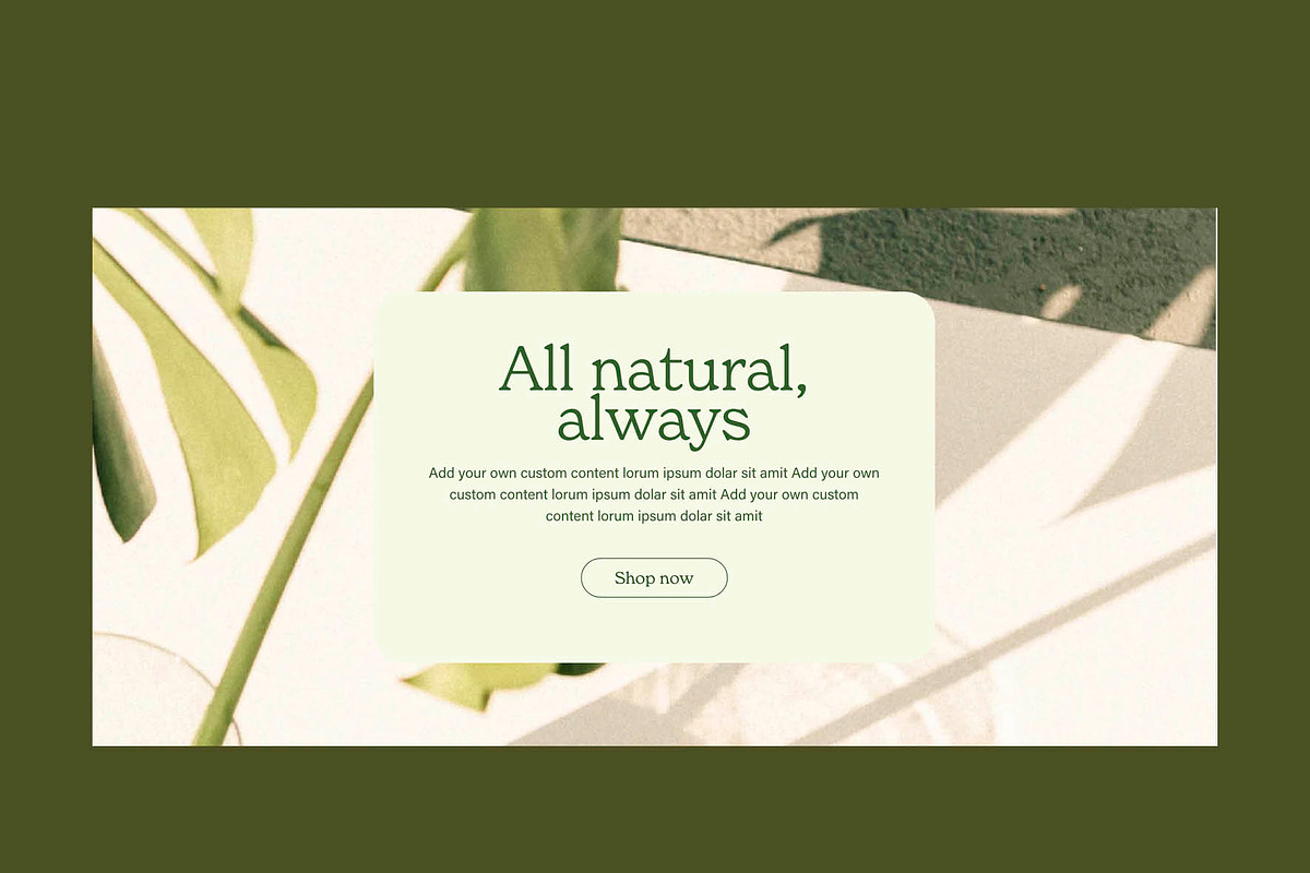 Shopify: Parallax Image Banner, a Shopify Template by Luna Templates (Photo 4 of 4)