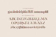 Adorage Modern Ligature Typeface, a Serif Font by Storytype Studio (Thumbnail 13 of 15)