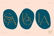 TAN - The Whistling, a Serif Font by TanType (Thumbnail 18 of 35)