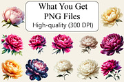Watercolor Peonies Flowers Clipart, an Illustration by Libby Wishes (Thumbnail 3 of 3)