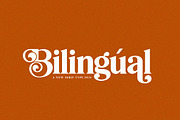 The Elegant Font Bundle - Vol 02, a Sans Serif Font by Salt & Pepper Designs (Thumbnail 3 of 11)