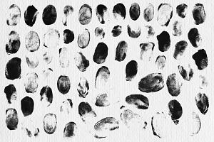 168 Fingerprint Stamp- Brushes