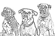 Vector Tracing Photoshop Action, an Action Add-On by MRI STUDIO (Thumbnail 11 of 11)