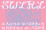 SWIRL a hand-drawn script, a Script Font by Eryn Rose Design (Thumbnail 2 of 22)