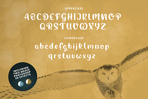 Magic Owl - An Enchanting Typeface