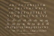 Algia Mongol Elegant Serif Font, a Serif Font by Elegant Font (Thumbnail 8 of 8)