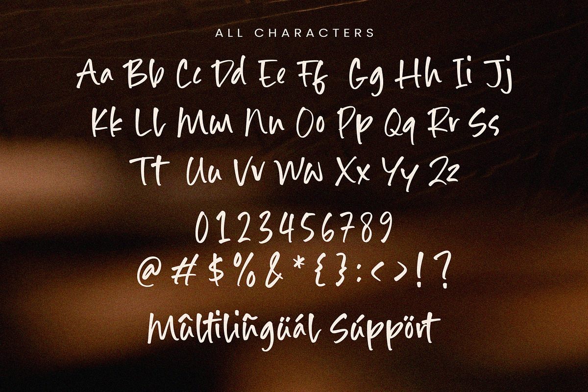 Diamond Days Font, a Handwritten Font by Timurtype (Photo 6 of 7)