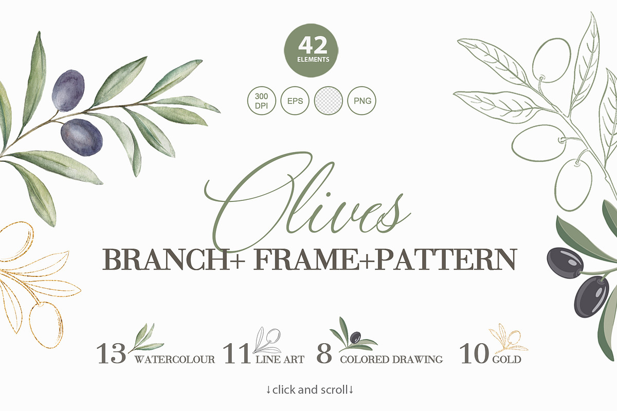Olive branch, frame, pattern., a Texture Illustration by Kotkoa (Photo 1 of 6)