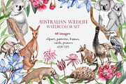 Australian Wildlife Watercolor Set, an Animal Illustration by Catch the Dream Art (Thumbnail 1 of 11)