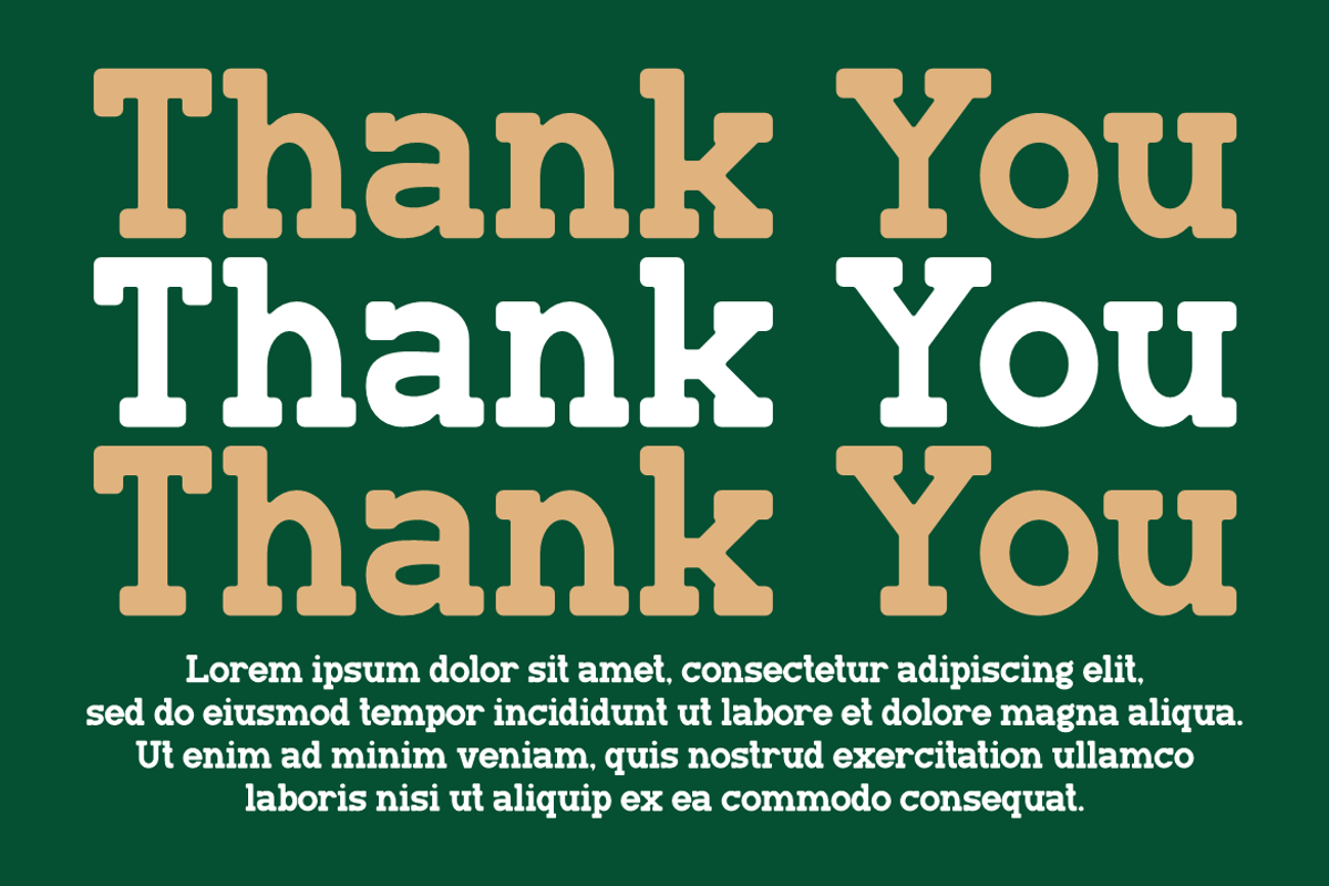 Manline Slabs - A Classic Slab Font, a Slab Serif Font by Marvadesign (Photo 7 of 7)