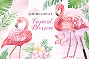 SALE!Tropical Blossom Watercolor Set, a Decorative Illustration by Irina Diasli (Thumbnail 1 of 14)