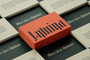 Rymaki - Modern Blackletter Font, a Blackletter Font by SilverStag Type Foundry (Thumbnail 6 of 30)