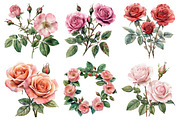 Spring Lithograph Roses Clipart, an Illustration by Pixels.Craft (Thumbnail 2 of 7)
