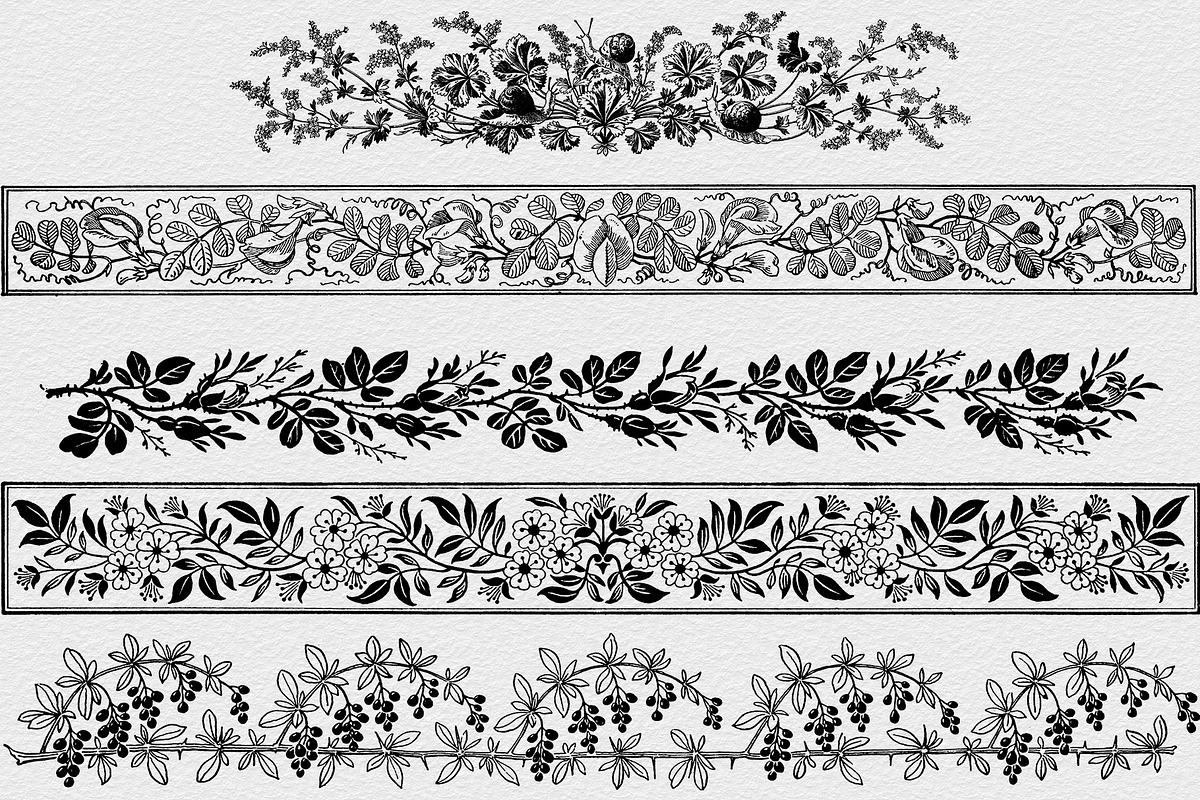 Procreate Vintage Nature Borders, a Brush Add-On by AW Studios (Photo 9 of 9)