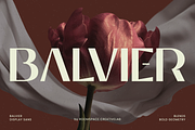 Balvier – Modern Luxury Sans Font, a Sans Serif Font by roomspace creative lab (Thumbnail 1 of 12)