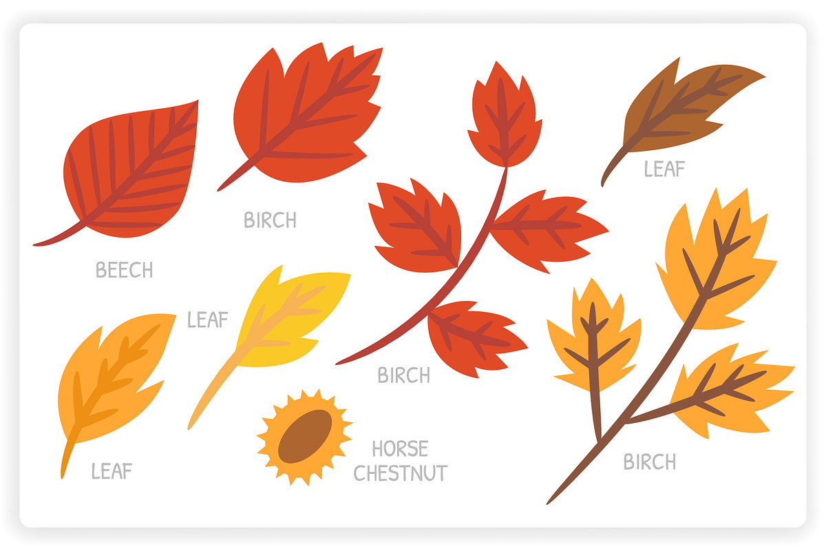 36 Autumn Elements + 12 Patterns, a Graphic by monkik (Photo 4 of 12)