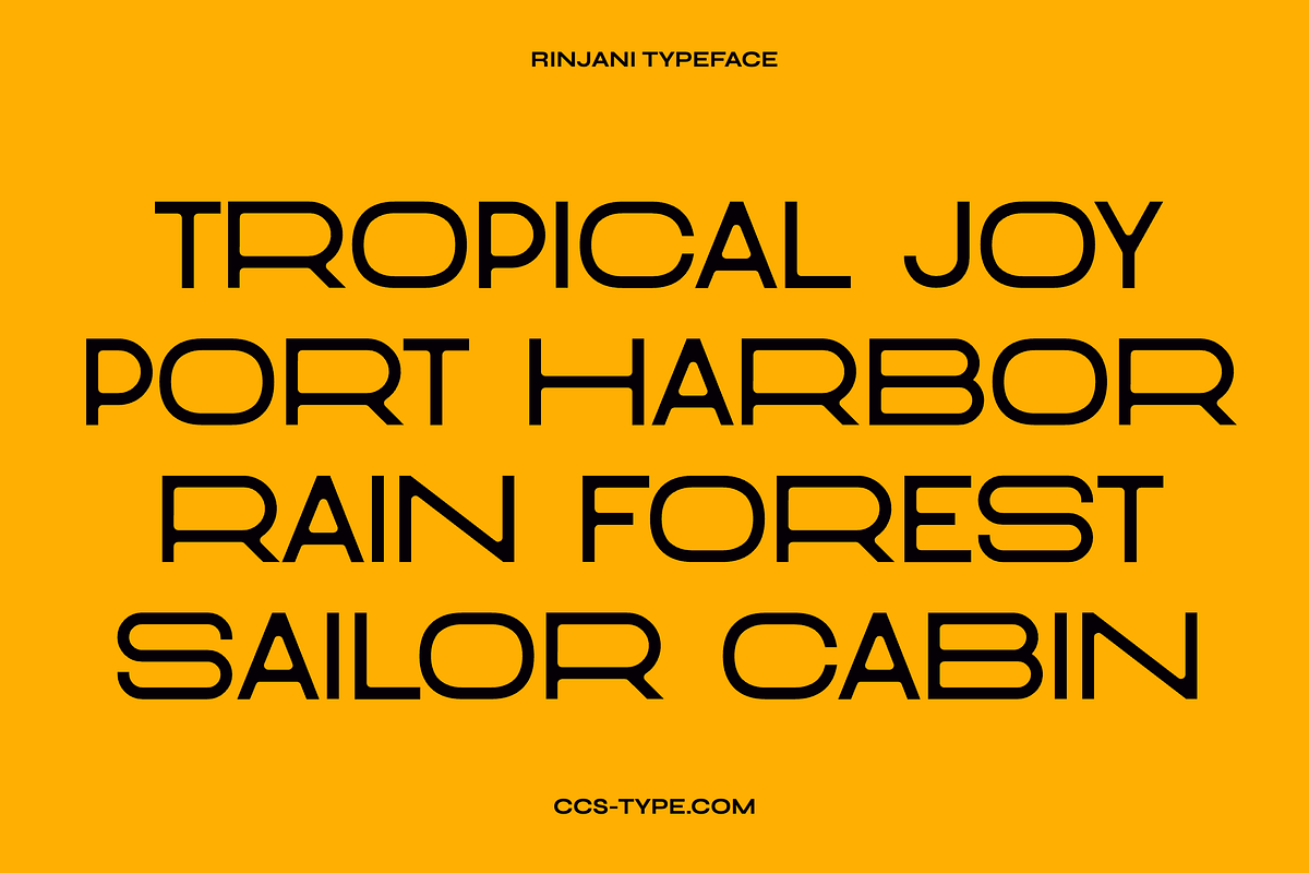 Rinjani Sans - Wide Stretch Typeface, a Sans Serif Font by CCS Type (Photo 2 of 19)