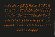 JH Zoya cyrillic font, a Script Font by JH  Fonts (Thumbnail 8 of 12)