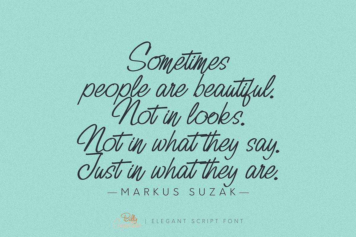 Billy Signature, a Script Font by Omotu Studio (Photo 7 of 12)