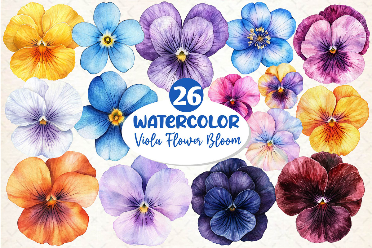 Viola Flower Bloom Clipart, an Illustration by Dream Creation (Photo 1 of 6)