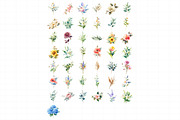 Floral Watercolor Set, Flowers, Leav, an Illustration by Daily.Designs (Thumbnail 7 of 7)