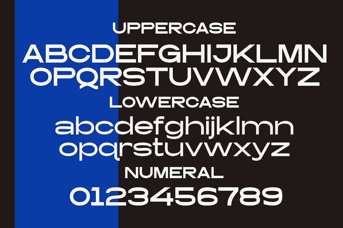 Dismantle - A Modern Sans Serif, a Sans Serif Font by Marvadesign (Photo 4 of 7)