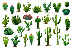 Cartoon Prickly Succulent Cactus