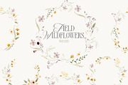 FIELD WILDFLOWERS watercolor, a Decorative Illustration by Lana Elanor (Thumbnail 4 of 12)