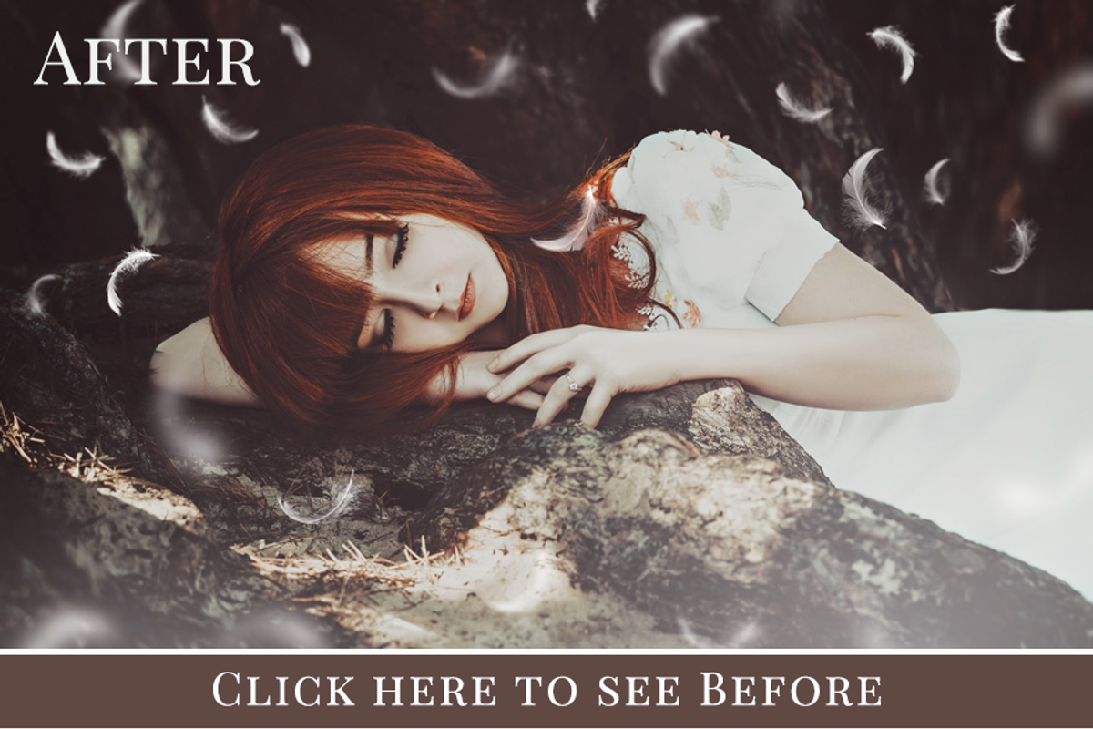 Flying Feathers photo overlays, an Object Graphic by BrownLeopard (Photo 5 of 6)