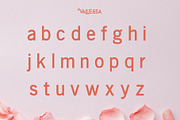 Vallessa, a Sans Serif Font by edcreative (Thumbnail 4 of 9)