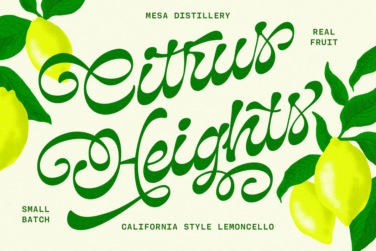 Prestino - Classy Script, a Script Font by Fenotype (Photo 2 of 13)