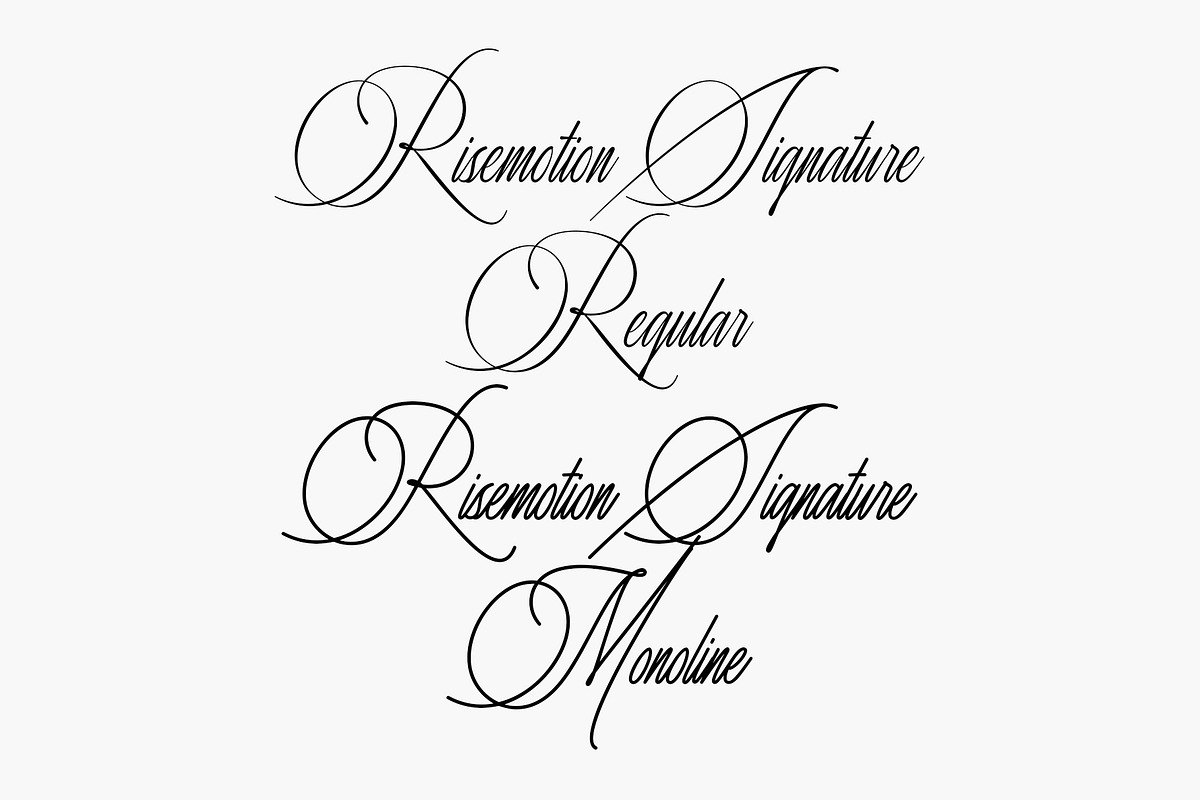 Risemotion Signature Font, a Script Font by Lemonthe (Photo 10 of 12)
