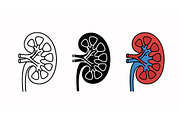 Human Kidney Vector Icon Set, an Object Graphic by Artonix (Thumbnail 2 of 3)