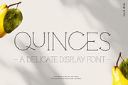 Quinces – A Delicate Display Serif, a Serif Font by Local Desk Designstudio (Thumbnail 3 of 11)
