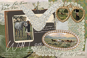 260+ Wild Lace. Soft. Wild. Timeless, an Object Graphic by Lilithcollageart (Thumbnail 1 of 11)