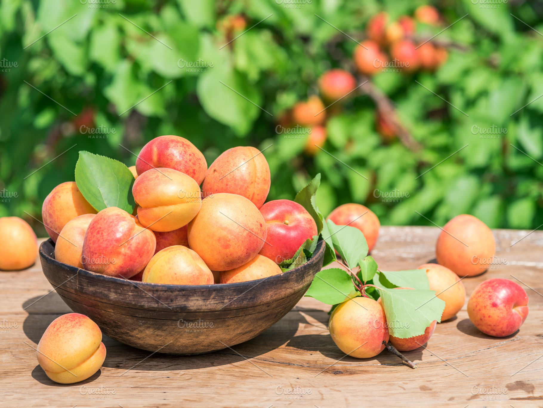 Ripe apricots in the wooden bowl on, a Photo by Volff
