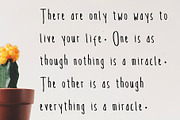 Gingera Font Suite for Book & Text, a Sans Serif Font by NadaNora (Thumbnail 3 of 4)