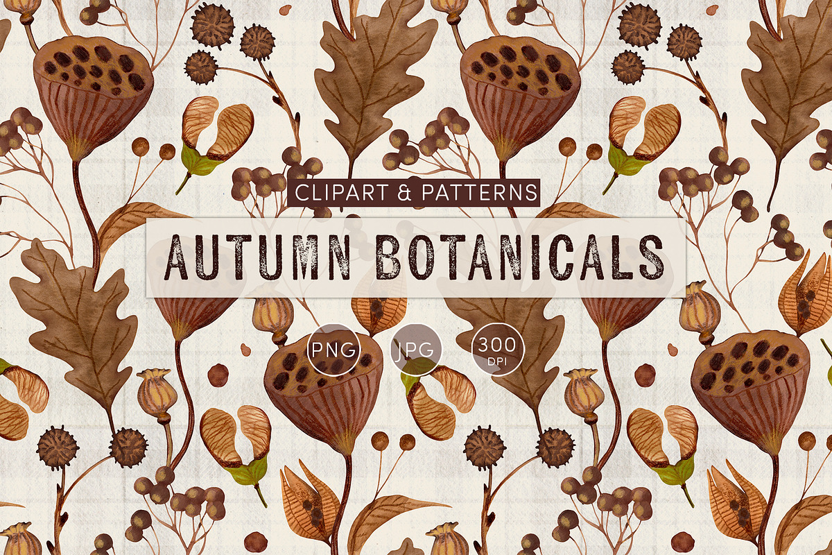 Autumn Botanicals Clipart & Patterns, an Object Graphic by ArtPavo (Photo 1 of 10)