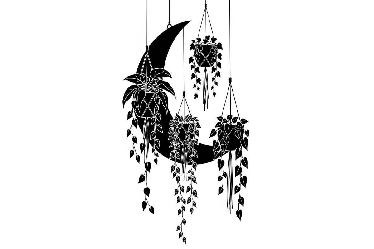 Hanging Moon with Plants Bundle, an Illustration by Designs_River (Photo 11 of 31)