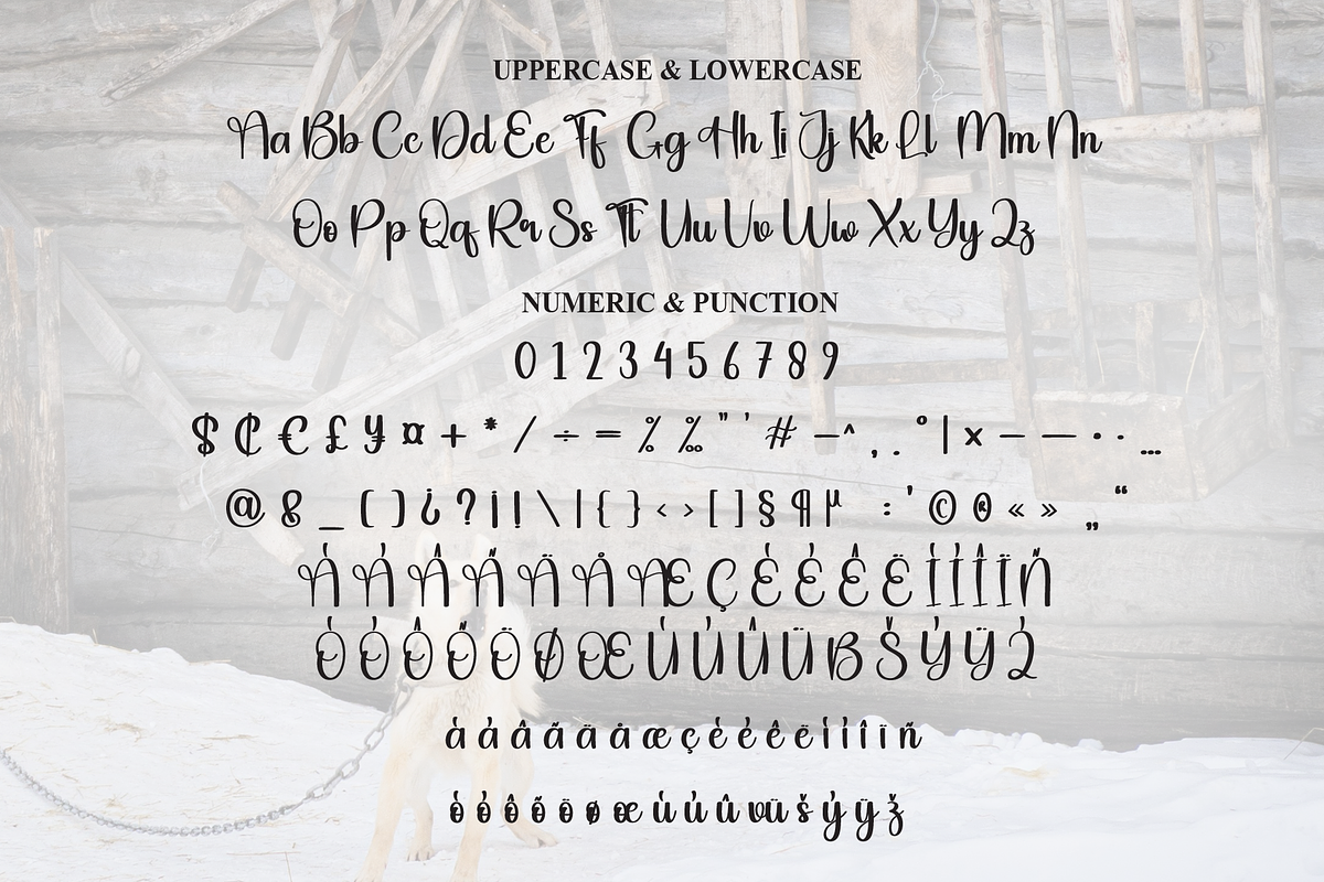 Snoopy | Script Font, a Handwritten Font by Scratchones (Photo 7 of 9)