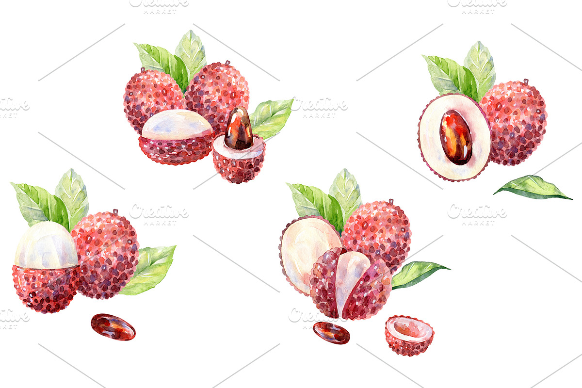 Watercolor tropical fruits., an Illustration by TaPilipa (Photo 6 of 39)