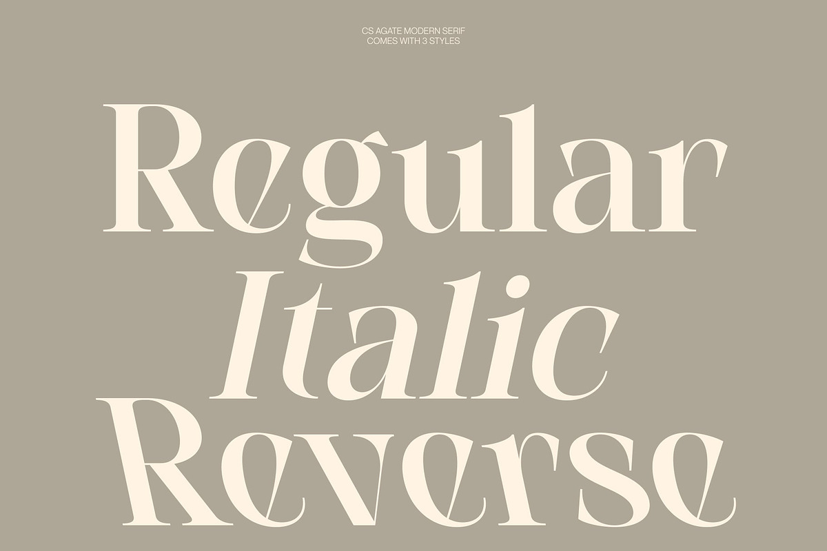 CS Agate – Modern Serif Font, a Serif Font by Craft Supply Co. (Photo 3 of 8)
