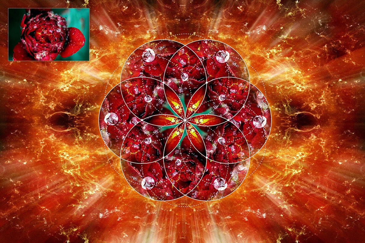 Sacred Geometry Generator, a Plug-in Add-On by Pro Add-Ons (Photo 19 of 22)