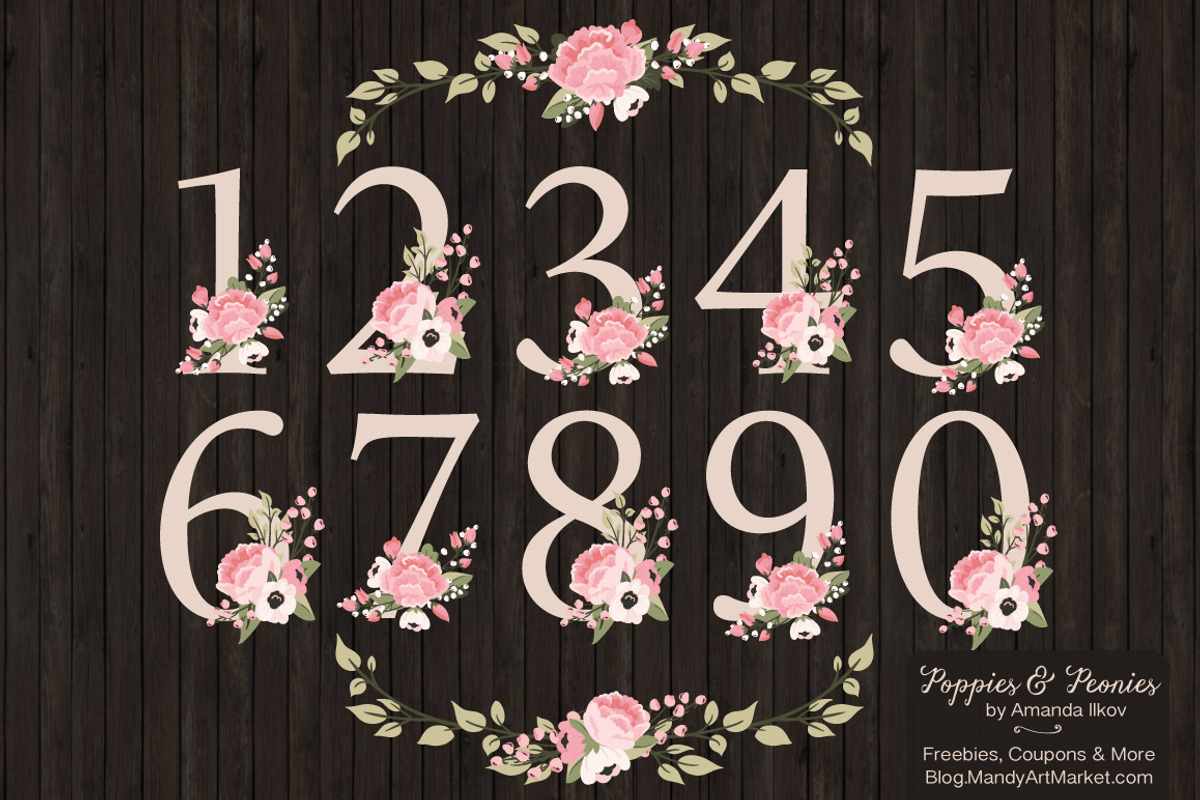 Soft Pink Floral Number Vectors, an Illustration by Amanda Ilkov (Photo 2 of 5)
