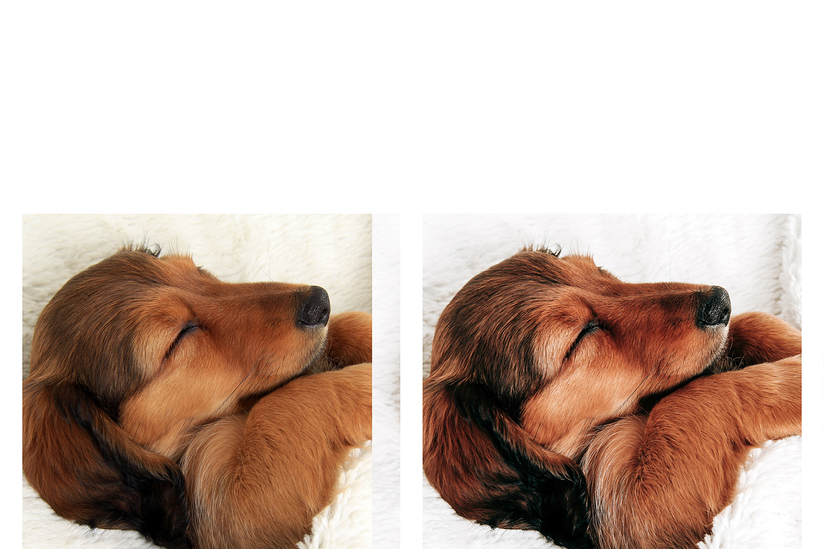 10 Homely Lightroom Presets, a Preset Add-On by MockTurtleStudio (Photo 8 of 8)