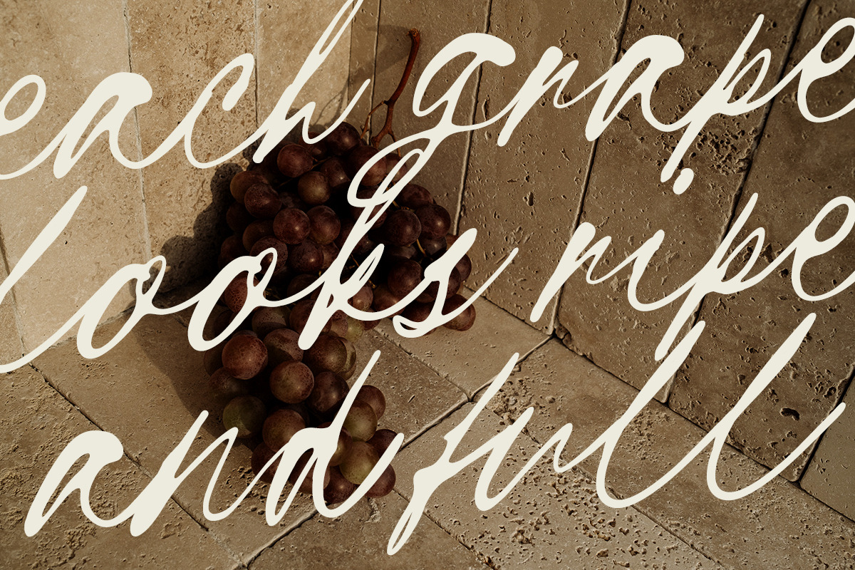 Brandoria – Handwritten Script Font, a Script Font by Unicode Studio (Photo 7 of 10)